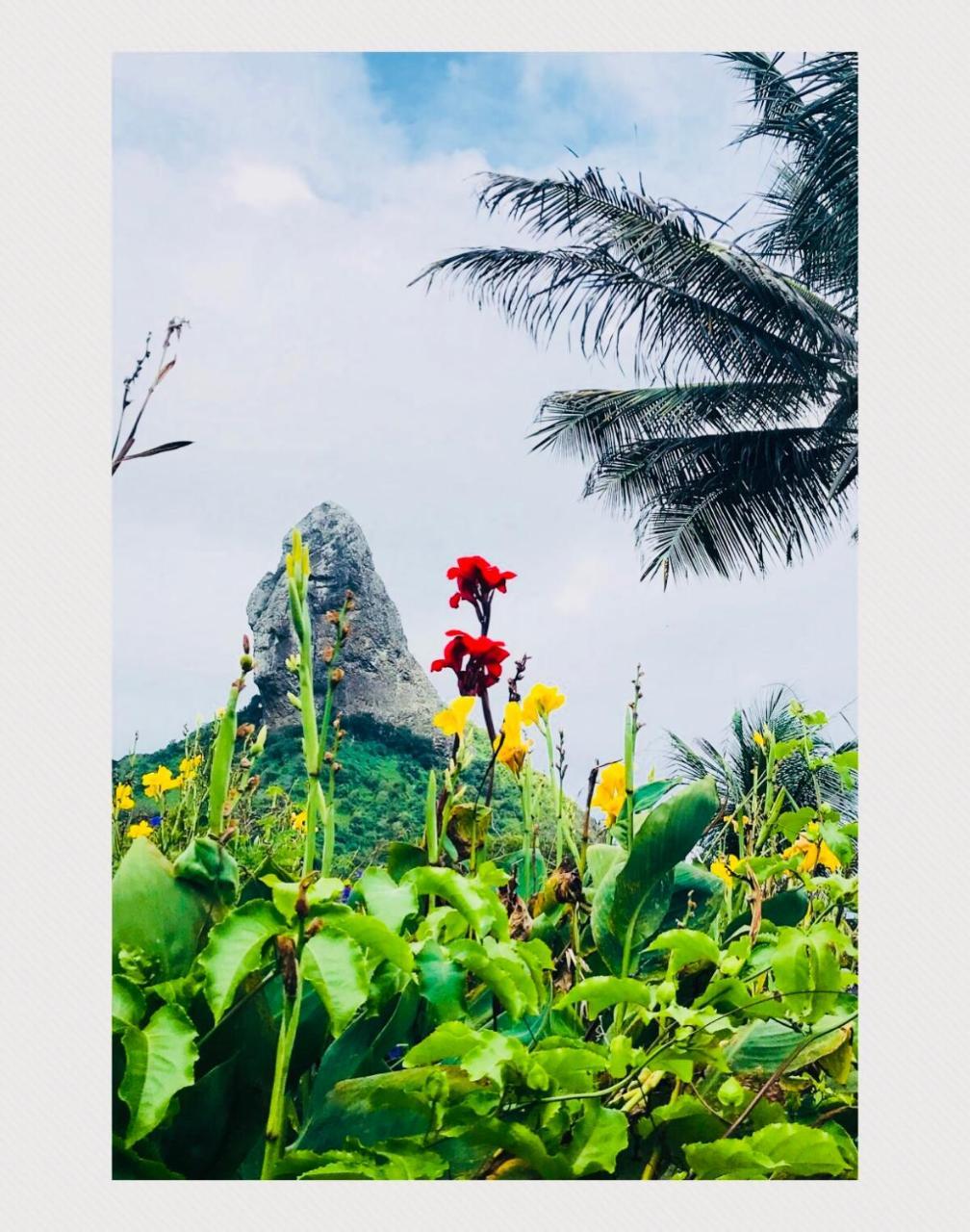 Pousada Morro Do Pico Fernando de Noronha Luaran gambar